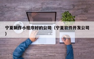 景德镇宁夏制作小程序好的公司（宁夏软件开发公司）